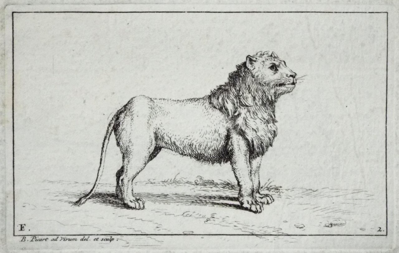 Etching - F. 2. Lion - Picart